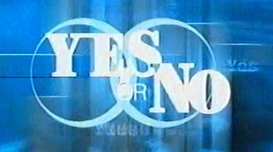 Logo van Yes or No.