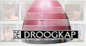Logo van De Droogkap.